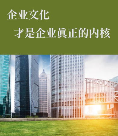 宠物玩具材质安全标准对比：TPR、棉绳与毛绒哪种更适合批发采购